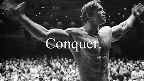 2015 Sale Cuadros Arnold Schwarzenegger - Bodybuilder Olympia Universe Conquer Amazing Art Style Photo Canvas Print Painting