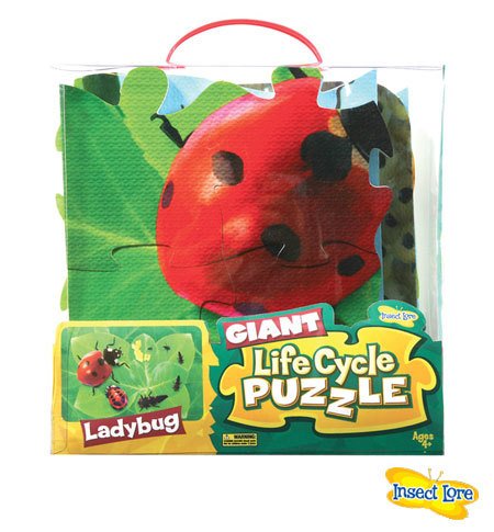 Insect Lore Giant Lifecycle Puzzle - LADYBUG Insect Lore Giant Lifecycle Puzzle - LADYBUG