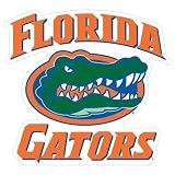 Florida Gators Car Magnet