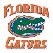 Florida Gators Car Magnet
