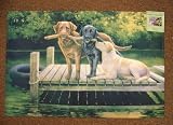 Dog Indoor Outdoor Area Rug Floor Doormat