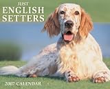 Just English Setters 2007 Calendar (Just)