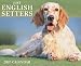 Just English Setters 2007 Calendar