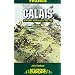 Calais: 30 Brigades's Defiant Defence, May 1940 (Battleground Europe)