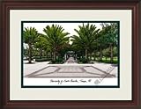 Framed Lithograph Print South Florida Bulls NCAA