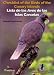 Checklist of the Birds of the Canary Islands: Lista De Las Aves De Las Islas Canarias