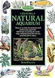 Creating a natural aquarium
