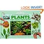 An Essential Guide to Choosing Plants for Your Aquarium (Tankmaster)
