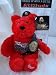 World Wrestling Federation WWF Attitude Bears The Rock