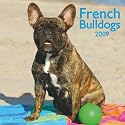 French Bulldogs 2009 Square Wall Calendar (Multilingual Edition)
