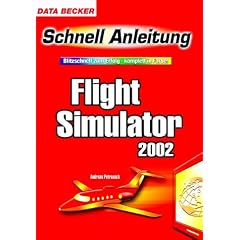 Flight Simulator 2002