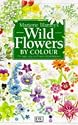 Wild Flowers by Colour