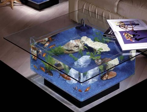 Aqua Square Coffee Table Aquarium