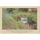 Water Garden, 6 pack by Tracey Elliot-Reep