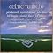 learn how to play the Irish tin whistle?