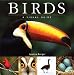 Birds: A Visual Guide (Visual Guides)