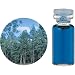 �����̖� C �u���[ �T�C�v���X �G�b�Z���V�����I�C�� 10ml