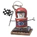 S'mores Race Car Driver Ornament
