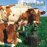 Dairyland: America s Cow Calendar 2009 Square Wall Calendar