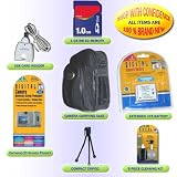 ACCESSORY KIT +1.0GB FOR PANASONIC DMC-FX8 FX9 LX1 FX01