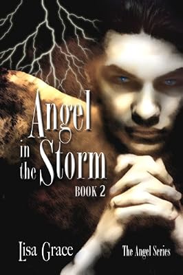 Angel in the Storm, Book 2