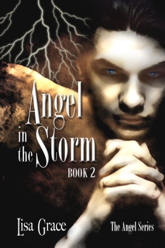 Angel in the Storm, Book 2 (The Angel Series)