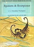 Spiders and scorpions