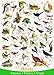 EuroGraphics Birds Fields and Gardens Puzzle (1000-Piece) (6000-1259)