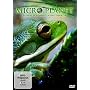 Micro Planet <b>DVD</b> ~ Michael Watchulonis