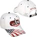 Search Our Specialty Mall : Chase Authentics Coke Zero 400 American Flag Cap