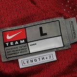 Mark Ingram #22 Alabama Tide 2010 NIKE SEWN Jersey