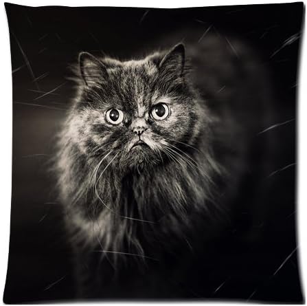 Peach skin DIY Pillow Cases Cover Custom cat curious 18x18 Inch (Twin sides)