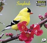2012 Songbirds Wall Calendar