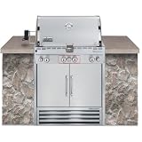 Weber Summit S-460 Built-In Natural Gas Grill with Rotisserie and Smoker