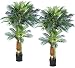 TWO Sets of Pre-potted Triple Phoenix Artificial Tropical Palm Trees 6' + 4.5'+ 3'