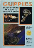 Guppies: Fancy Strains and How to Produce Them