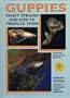 Guppies: Fancy Strains and How to Produce Them