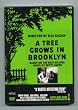 Tree Grows in Brooklyn