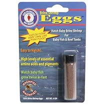 San Francisco Bay Brand ASF65031 Brine Shrimp Eggs Vial for Baby Fish and Reef Tanks, 6 grams, 1 Pack
