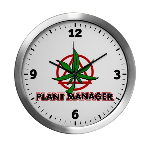 Modern Wall Clock Marijuana Plant Manager