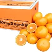 中井さんちのみかん【１０ｋｇ】和歌山県産 有田ミカン 蜜柑(サイズ不選別ふぞろい・訳あり)（完熟品種）