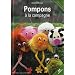Pompons � la campagne