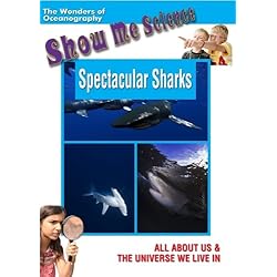 Spectacular Sharks