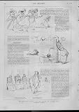 GOLDSMITH ELEGY DEATH OF MAD DOG Antique Print 1879