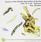The larvae of the British butterflies and moths
