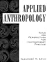 Applied Anthropology: Tools and Perspectives for Contemporary Practice