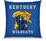 Kentucky Wildcats -NCAA 27 in Floor Pillow