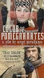 Review Kino Video  / The Color of Pomegranates