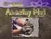 Amazing Mud (Reading Essentials: Exploring Science)