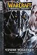 Eisige Schatten / WarCraft - The Sunwell Trilogy 02